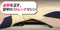 姿勢を正す、背中のストレッチマシン - バックマジック