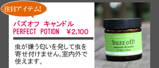 PERFECT POTION(パーフェクトポーション) バズオフ キャンドル