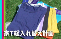 家T総入れ替え計画
